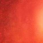আগামী ৮ মে দীর্ঘদিনের বন্ধু আনন্দ আহুজার সঙ্গে গাঁটছড়া বাঁধছে সোনাম কাপুর